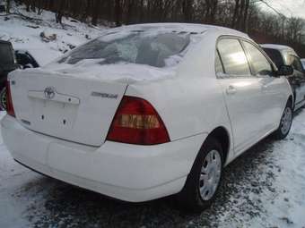 Corolla
