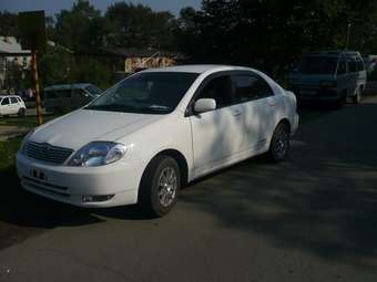 Corolla