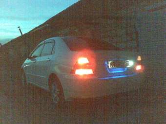 2001 Corolla
