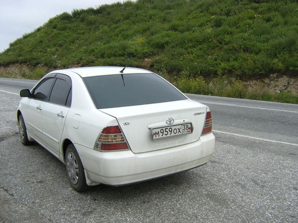 2001 Toyota Corolla