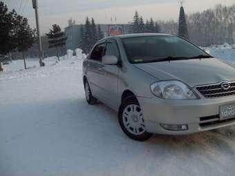 Corolla