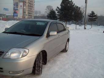 2001 Corolla