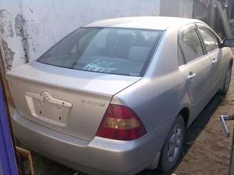 Corolla