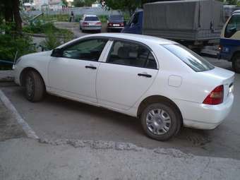Corolla