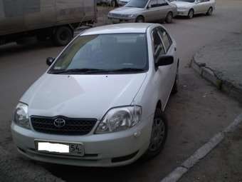 2001 Corolla