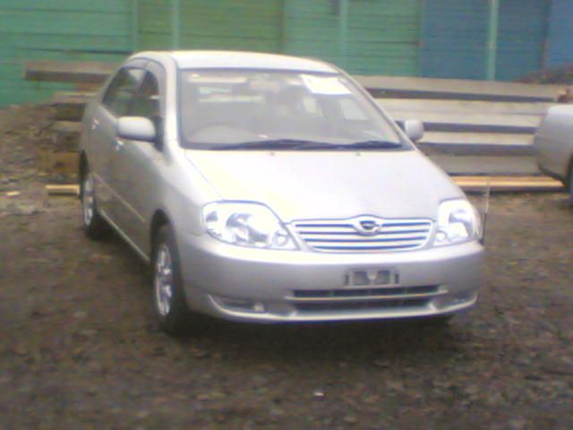2001 Toyota Corolla