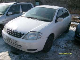 Corolla