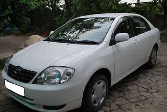 Corolla