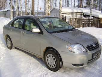 2001 Corolla