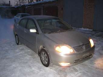 Corolla
