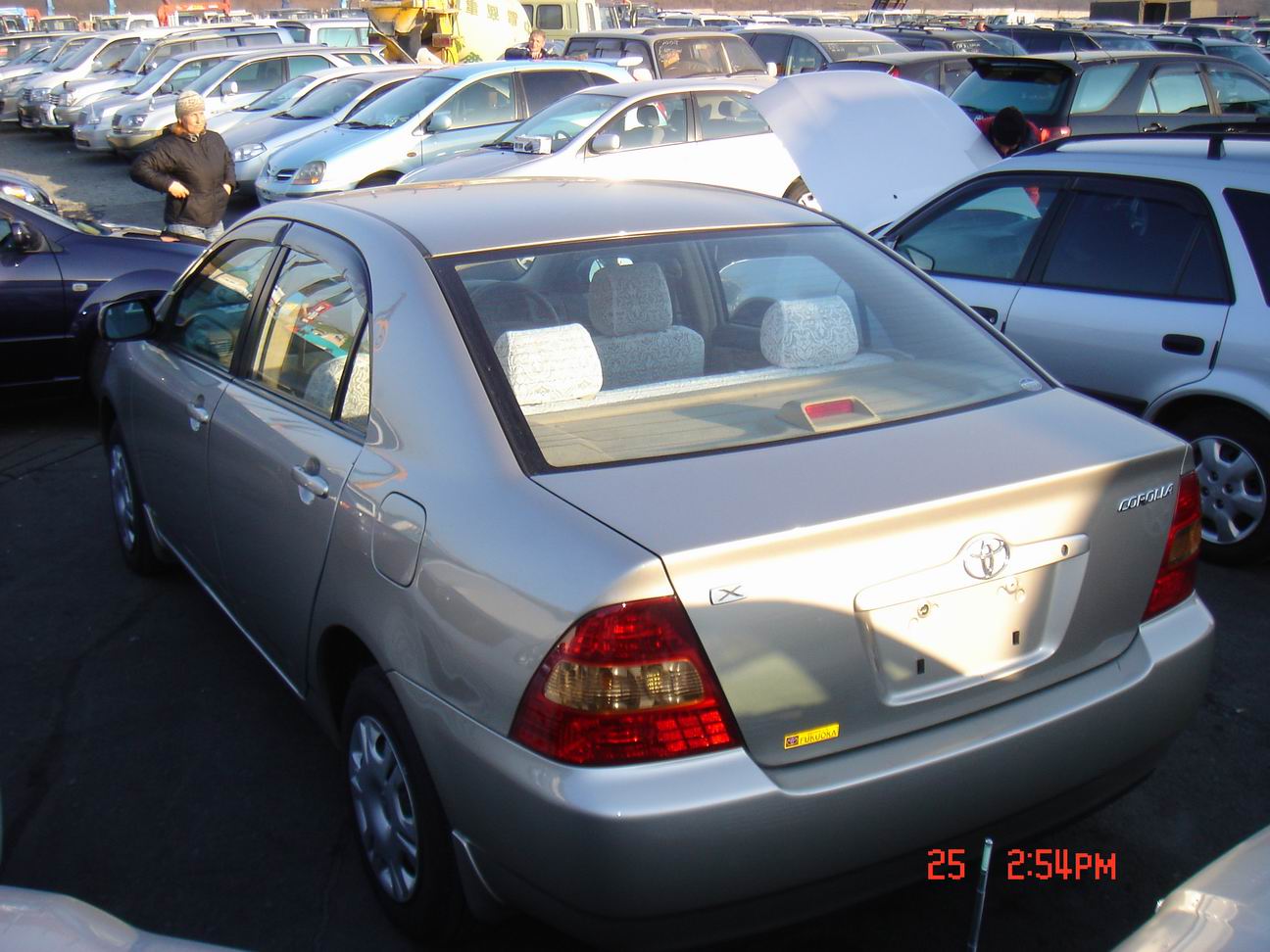 2001 Toyota Corolla Pictures