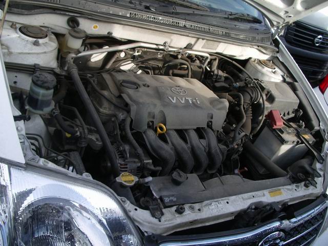 2001 Toyota Corolla Pictures