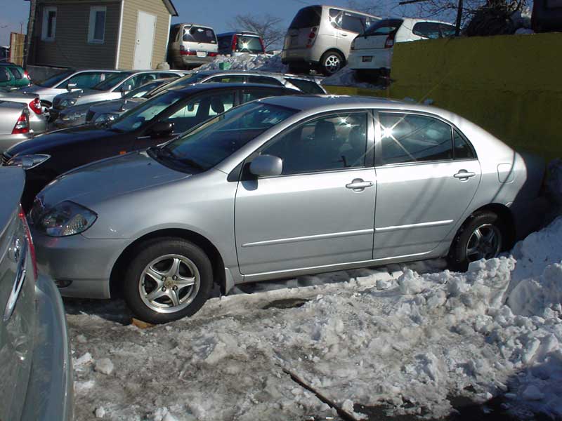 2001 Toyota Corolla Pictures