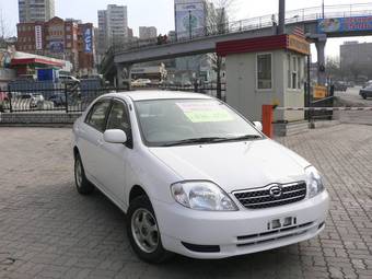 2001 Toyota Corolla Pictures