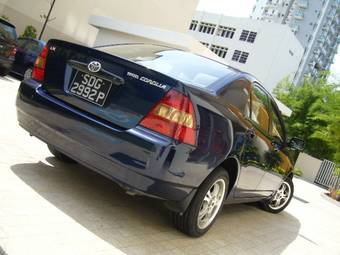 2001 Toyota Corolla Photos
