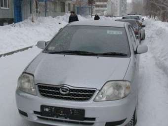 2001 Toyota Corolla Photos