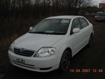 2001 Toyota Corolla Pictures