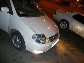 2001 Toyota Corolla Pictures