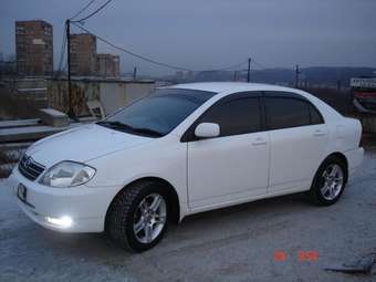 2001 Toyota Corolla Photos