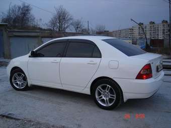 2001 Toyota Corolla Photos