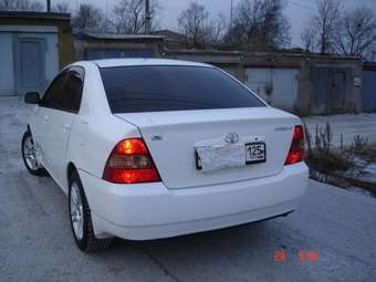 2001 Toyota Corolla Pictures