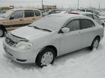 2001 Toyota Corolla Pics