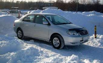 2001 Toyota Corolla