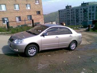 2001 Toyota Corolla Pics