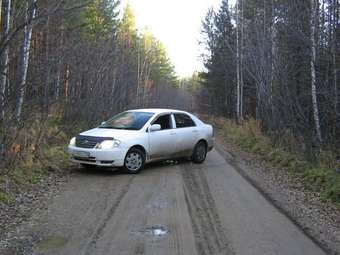 2001 Toyota Corolla