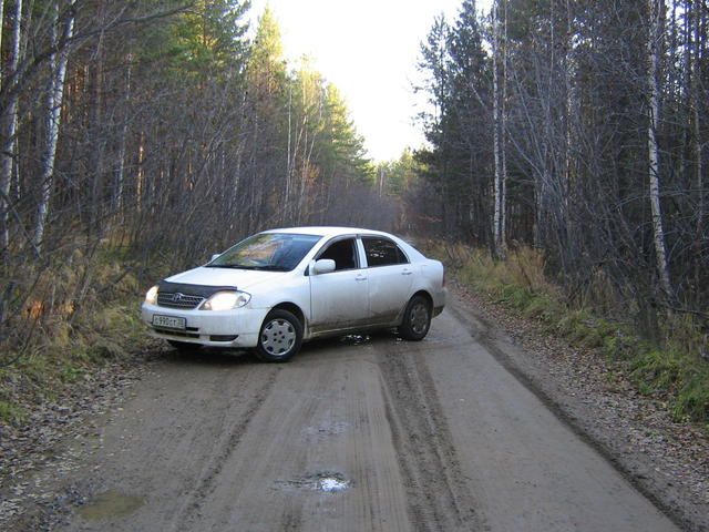 2001 Toyota Corolla