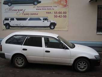 2001 Toyota Corolla Pictures
