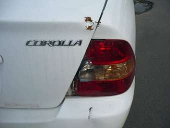 2001 Toyota Corolla Images