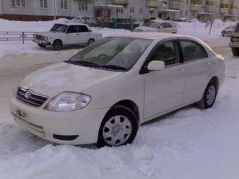 2001 Toyota Corolla Pictures