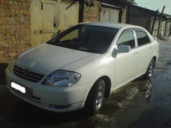 2001 Toyota Corolla Pictures