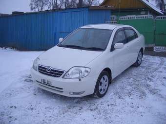 2001 Toyota Corolla Pictures