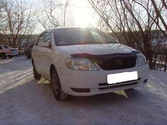 2001 Toyota Corolla Pictures