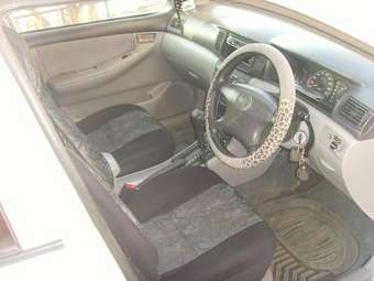 2001 Toyota Corolla Pictures