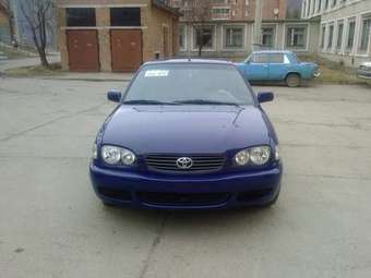 2001 Toyota Corolla Photos