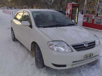 2001 Toyota Corolla Pictures