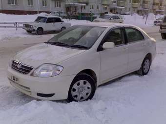 2001 Toyota Corolla Photos