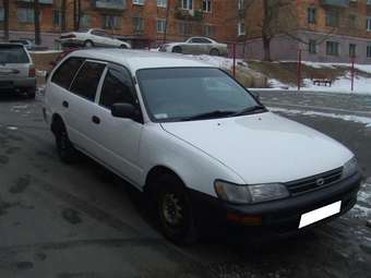 2001 Toyota Corolla Pictures