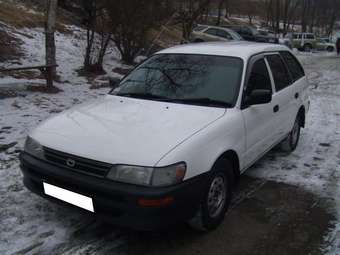 2001 Toyota Corolla Pictures