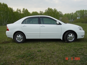 2002 Toyota Corolla