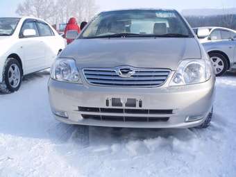 2002 Corolla