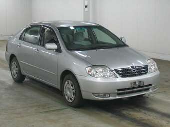 2002 Toyota Corolla