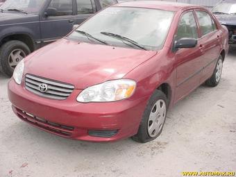 2002 Toyota Corolla Pics