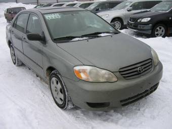 2002 Toyota Corolla Pictures