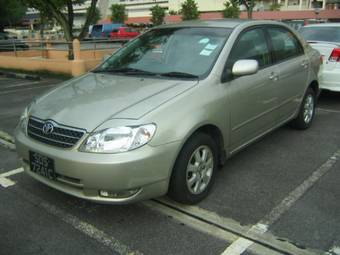 2002 Toyota Corolla Pictures