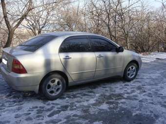 2002 Toyota Corolla Pictures