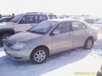 2002 Toyota Corolla Pictures